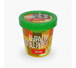 Набор для выращивания растений Вырасти,Дерево! Инжир zk-080 