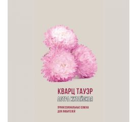 Семена Агрони Астра китайская КВАРЦ ТАУЭР 1915 