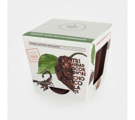 Набор для выращивания растений Plant Republic Перец острый Тринидад Скорпион Шоколадный pr-004 