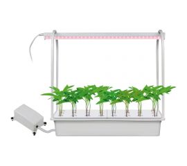 Набор для гидропоники Uniel ULT-P44C-10W/SPLE IP20 AQUA WHITE Минисад AQUA UL-00004497 