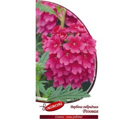 Семена Агрони Вербена гибридная РОЗОВАЯ 5909 