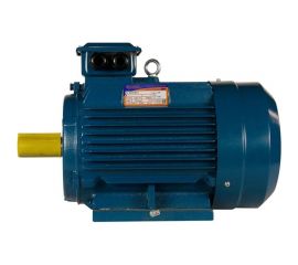 Электродвигатель 5АИ 132 М4 11/1500 IM 1081 01.01.213634 