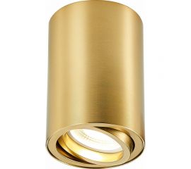 Накладной светильник ST luce ST108 ST108.207.01 