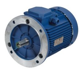 Электродвигатель МЭЗ У2-220/380-50IM3081-Р.К.В. К31Е-ААА IE1 Могилев АИР100S2 4,0*3000 3081 