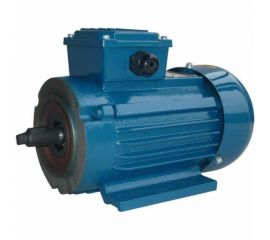 Электродвигатель 5АИ 63 В2 FT100 0.55/3000 IM 2181 01.01.221565 