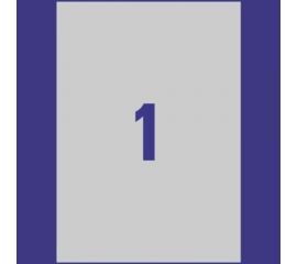 Самоклеящиеся этикетки Avery Zweckform серебристые полиэстер 210x297 мм 20 шт. L6013-20 