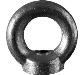 Рым-гайка Невский Крепеж DIN 582, М10 802832 