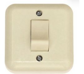Одноклавишный выключатель ООО Ливны-Электро скрытой установки С1-002 УХЛ 4 слоновая кость ВСП 12 