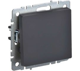1-клавишный выключатель IEK Brite 10а вс10-1-0-брг графит BR-V10-0-10-K53 