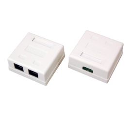 Сетевая розетка LAN REXANT на стену, 2 гнезда RJ-45 (8Р8С), 5e категории 06-0105-C 