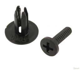 Пистон клипса 10 шт, 6 мм Nissan, Datsun Riginal RGKJ-2243 