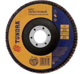 Круг лепестковый торцевой конический (125х22 мм; Р80) TUNDRA 1857752 