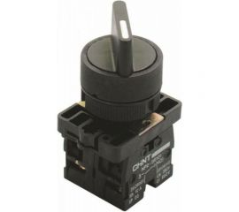 Переключатель CHINT NP2-ED25 2 полож. с фиксацией 1НЗ +1НО IP40 573781 