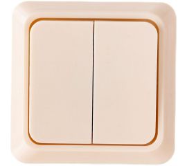 Двухклавишный выключатель TDM открытой установки, слоновая кость Ладога TDM SQ1801-0004 