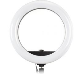 Кольцевая светодиодная лампа Smartbuy 36 см с держателем для телефона для профессиональной съемки SBL-TTL-14 