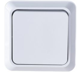 Одноклавишный выключатель Intro Quadro 2-101-01 10А-250В, IP20, открытая установка, белый, Б0053733 