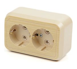 Розетка открытой установки ООО МПО Электротехника 2 мест. с з/к 2819 