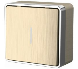 Одноклавишный выключатель с подсветкой Werkel W5010110 a051042 