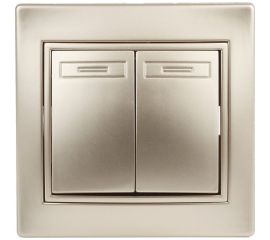 Двойной выключатель Intro 10А, 250В, IP20, СУ, Plano, шампань Б0030043 