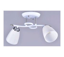 Потолочный светильник РОССВЕТ 2х20ВтхE27 РС22654/2 