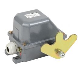 Концевой выключатель IEK КУ-704 У1, W-образный рычаг, 10А, IP44, 2 эл. цепи, KV-1-704-1 