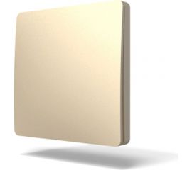 1-клавишный дистанционный выключатель GRITT Space золотистый, без реле, IP67 13007 