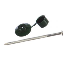 Гвозди для ондулина Стройбат оц.80 мм с пл.шляпкой, зеленый 100 шт 252570 