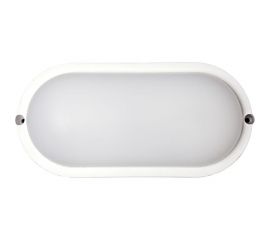 Банник LightPhenomenON LT-LBWP-01-IP65-18W-6500К LED овальный Е1601-0003 