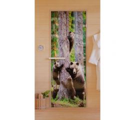 DoorWood Дверь для бани "Фотопечать рисунок А064". 1900х700 мм УТ-00011465 