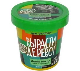 Набор для выращивания растений Вырасти,Дерево! Дерево счастья катальпа zk-068 