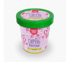 Подарочный набор для выращивания растений Вырасти,Дерево! Сирень венгерская zk-118 