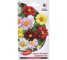 Семена Агрони Георгина низкорослая СМЕСЬ 7897 