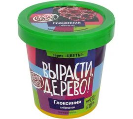 Набор для выращивания растений Вырасти,Дерево! Глоксиния гибридная zk-067 