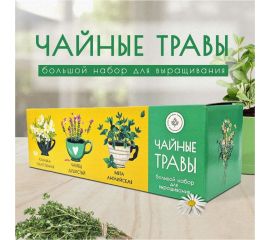 Набор для выращивания растений Plant Republic Чайные травы pr-021 