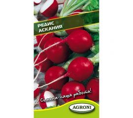 Семена Агрони Редис АСКАНИЯ 1703 