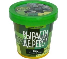 Набор для выращивания растений Вырасти,Дерево! Ель колючая сизая zk-004 