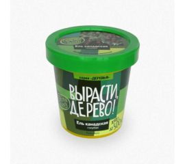 Набор для выращивания растений Вырасти,Дерево! Ель канадская голубая zk-048 