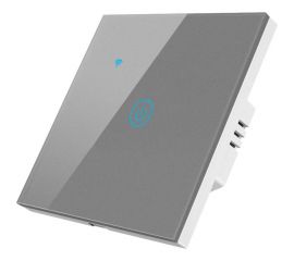 Сенсорный однокнопочный умный выключатель Roximo серый SWSEN01-1S 