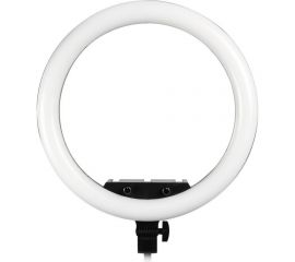 Кольцевая светодиодная лампа Smartbuy 46 см с держателем, пультом для профессиональной съемки SBL-TTL-18 