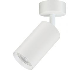 Накладной поворотный светильник truEnergy GU10 D55xH100мм IP20 белый/алюминий 21330 