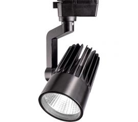 Прожектор Jazzway PTR 0130-2 30w 4000K 24гр. BL чёрный IP40 5022713 