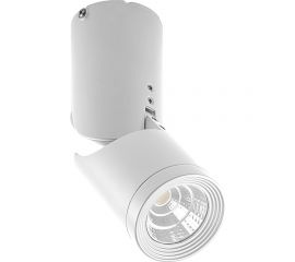 Светодиодный наклонный светильник FERON AL517 10W, 800Lm, 4000K, белый 29576 