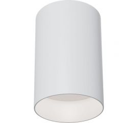 Потолочный светильник MAYTONI Alfa C014CL-01W 