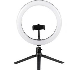 Кольцевой свет Camelion KD-849 C02 LED 10 Вт, подставка для смартфона, на треноге 13012 