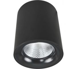 Потолочный светильник Arte Lamp A5112PL-1BK 