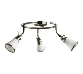 Потолочный светильник Arte Lamp A9231PL-3AB 