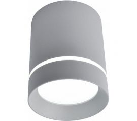 Потолочные светильники Arte Lamp A1909PL-1GY 