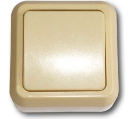 Одноклавишный выключатель ООО Ливны-Электро открытой установки А1-003 УХЛ 4 слоновая кость ВОП 13 