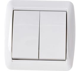 2-клавишный выключатель TDM открытой установки IP44 10А белый "Селигер" SQ1818-0002 
