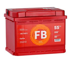 Аккумуляторная батарея FB 6 СТ 55 А/ч 1 L 555107040 